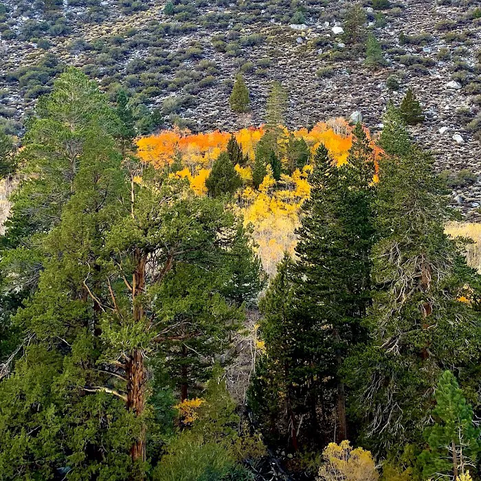 Iris Meadow Campground Picture 9