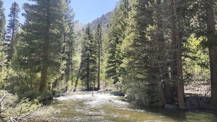 Iris Meadow Campground Picture 7