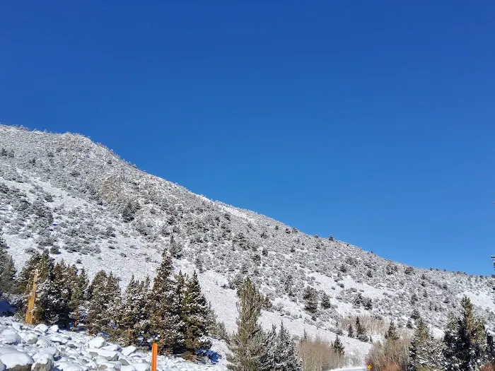 Aspen Group Campground Picture 1