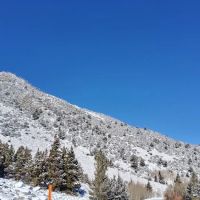 Aspen Group Campground ico