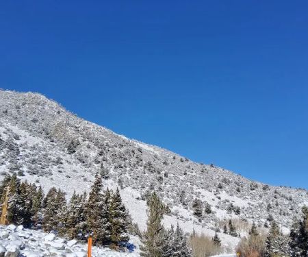 Aspen Group Campground