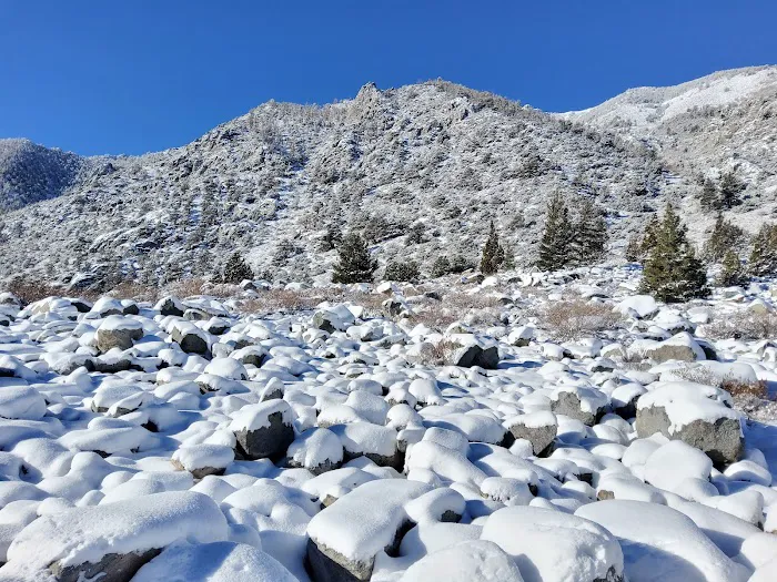 Aspen Group Campground Picture 5