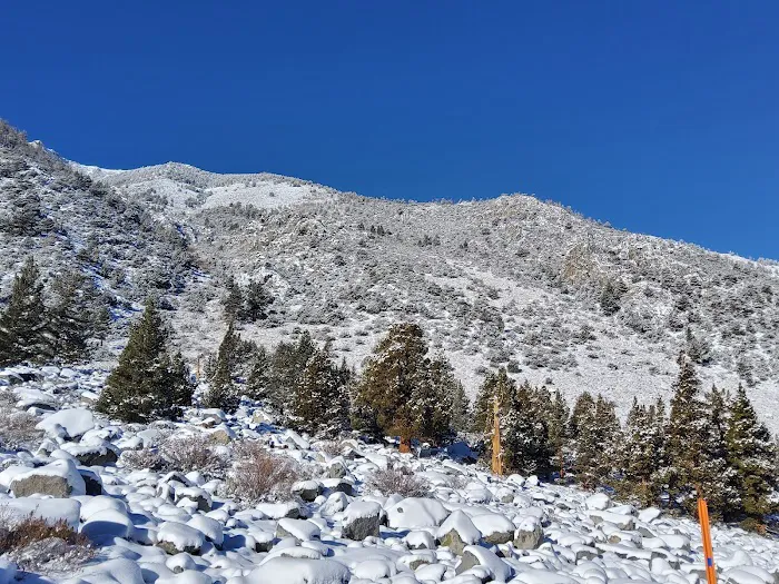 Aspen Group Campground Picture 6