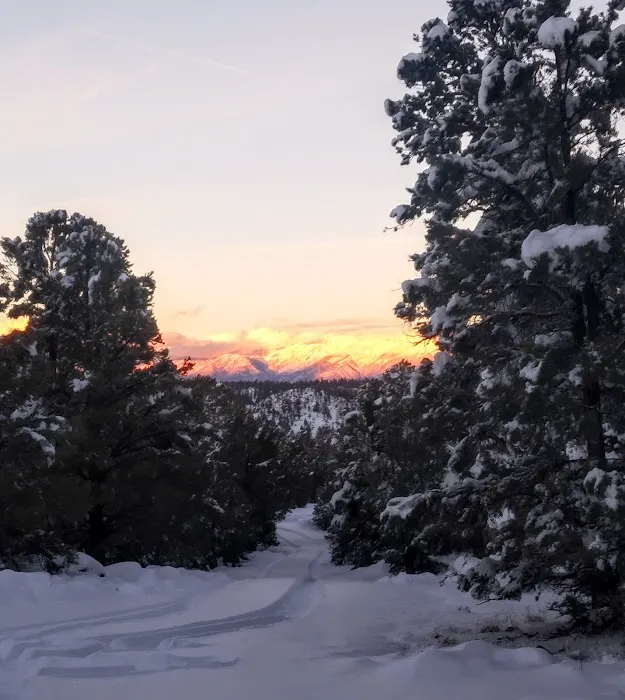 Holiday Campground Picture 6