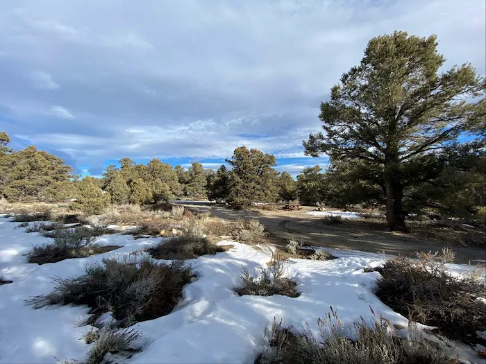 Holiday Campground Picture 4