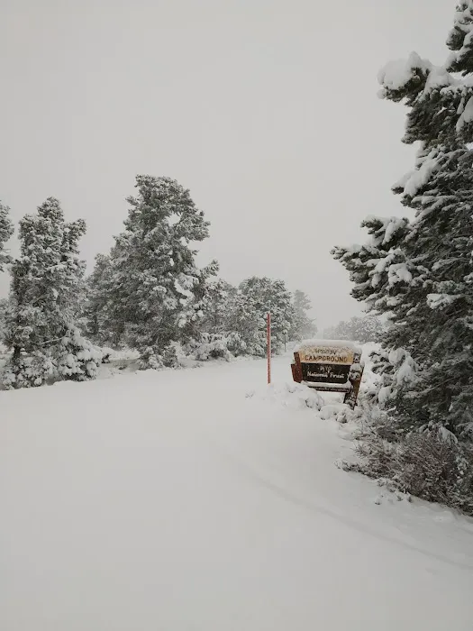 Holiday Campground Picture 1
