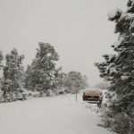 Holiday Campground