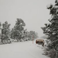 Holiday Campground ico