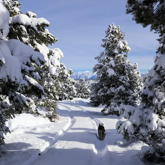Holiday Campground Picture 9