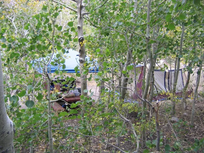 McGee Creek - Forest Service Campground Picture 8