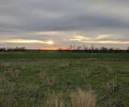 Lamb RV Park