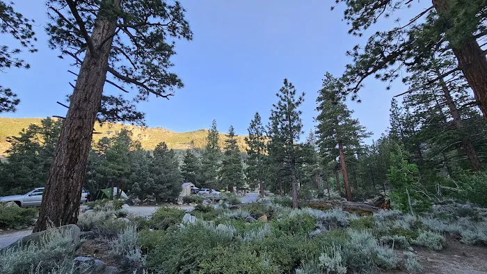 French Camp Campground Picture 2