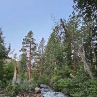 French Camp Campground ico