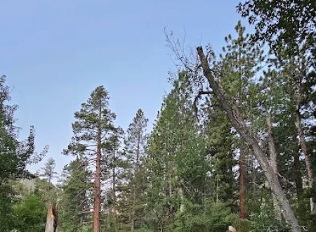 French Camp Campground