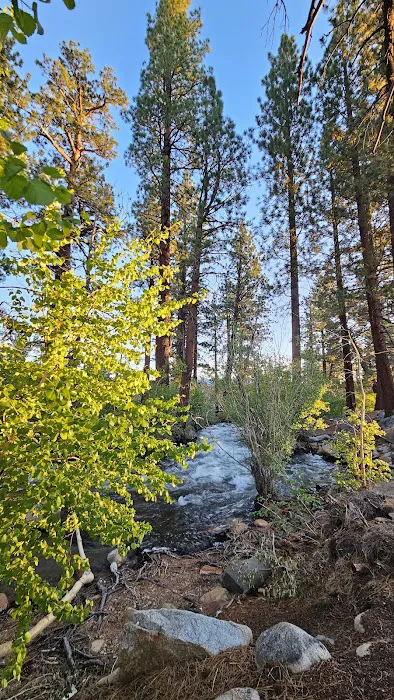 French Camp Campground Picture 5