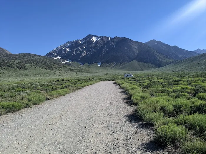 Crowley Lake BLM Campground Picture 8
