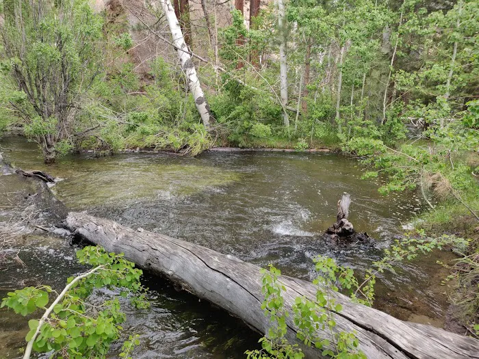 Tuff Campground Picture 5