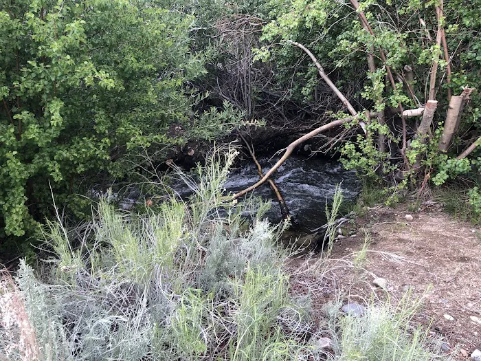 Horton Creek Picture 10