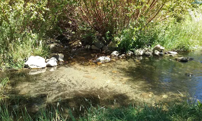 Horton Creek Picture 2