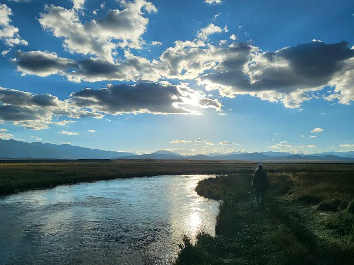 Brown's Owens River Campground Picture 10