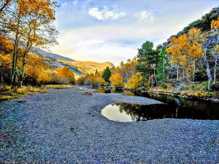 Silver Lake Campground.junelake CA Picture 6