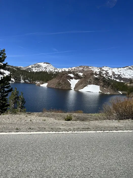 Silver Lake Campground.junelake CA Picture 9