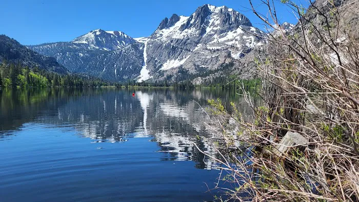 Silver Lake Campground.junelake CA Picture 3