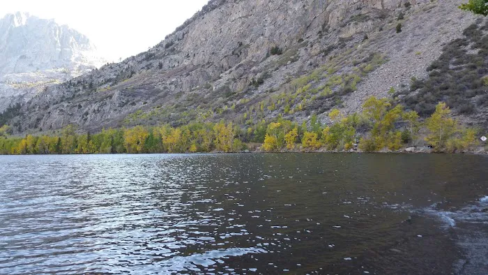 Trailer Park Campground Picture 9