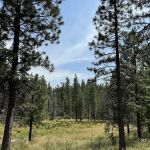 Dimond O Campground