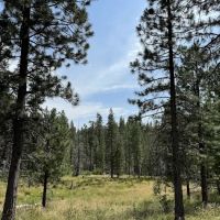 Dimond O Campground ico