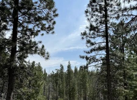 Dimond O Campground