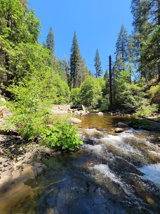 Dimond O Campground Picture 9