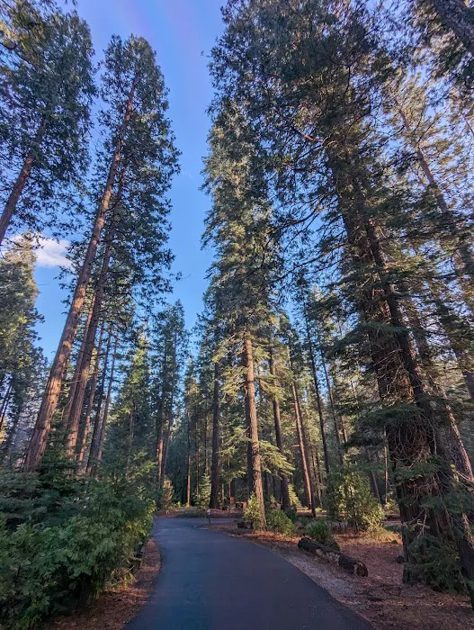 Dimond O Campground Picture 7