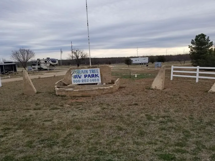 Rain Tree RV Park Picture 2
