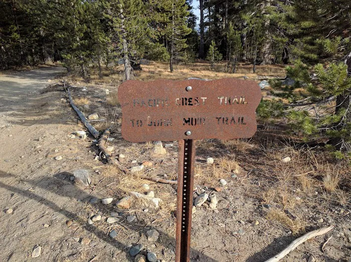 Tuolumne Meadows Campground Picture 10