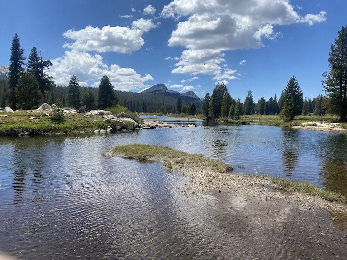 Tuolumne Meadows Campground Picture 7