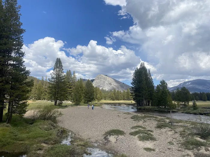 Tuolumne Meadows Campground Picture 6