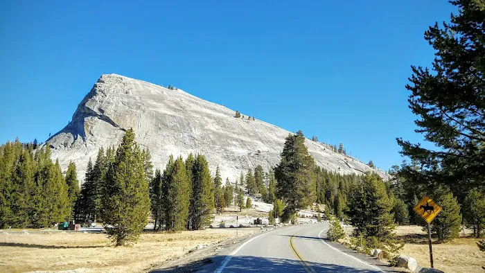 Tuolumne Meadows Campground Picture 2
