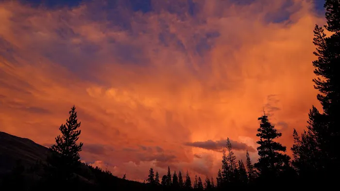 Tuolumne Meadows Campground Picture 1