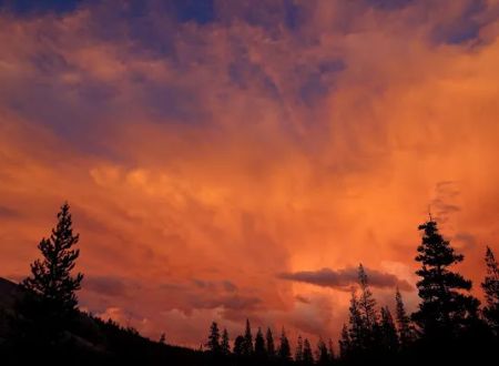 Tuolumne Meadows Campground