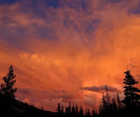 Tuolumne Meadows Campground