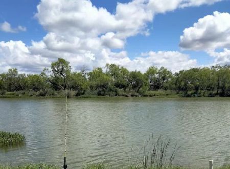 Spring Creek Marina & RV Park