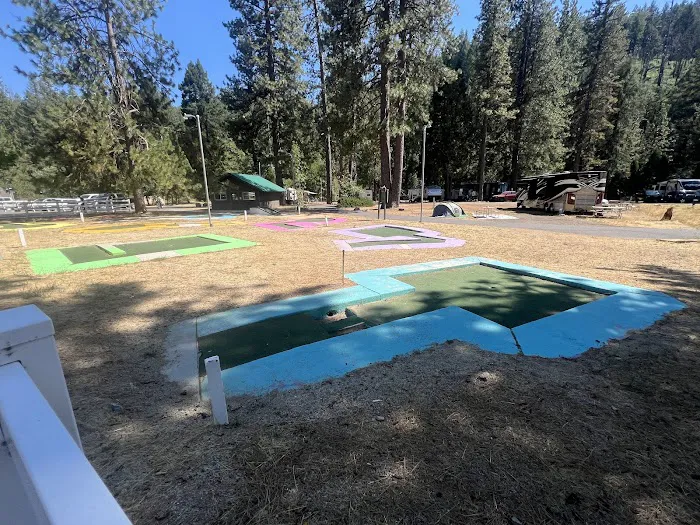 Thousand Trails Yosemite Lakes Picture 7