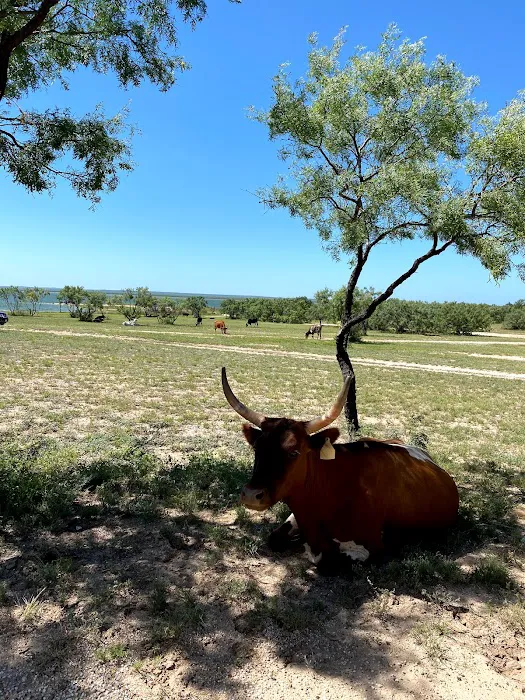 Lakeview Rv park San Angelo tx Picture 4