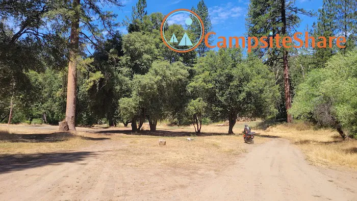Montgomery Gultch Campground Picture 2