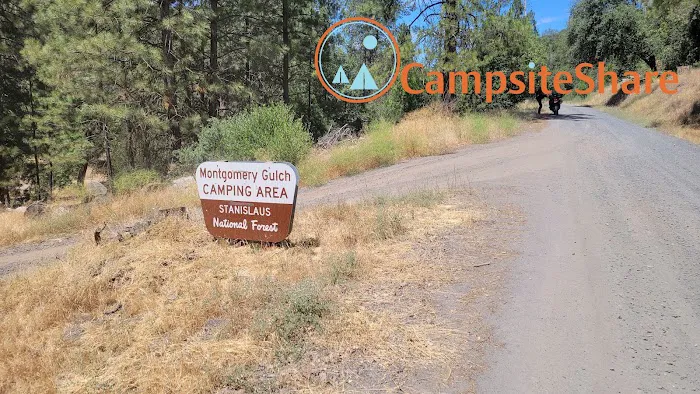 Montgomery Gultch Campground Picture 5