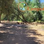 Montgomery Gultch Campground