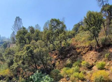 McCabe Flat Campground