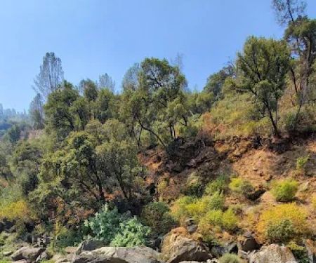 McCabe Flat Campground