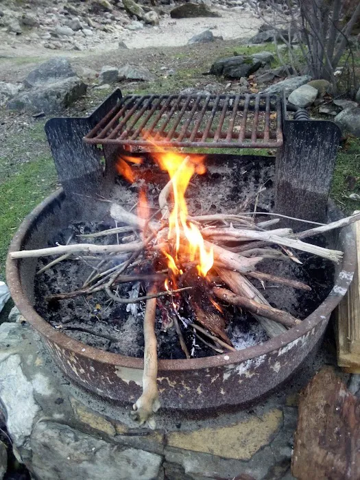 McCabe Flat Campground Picture 7